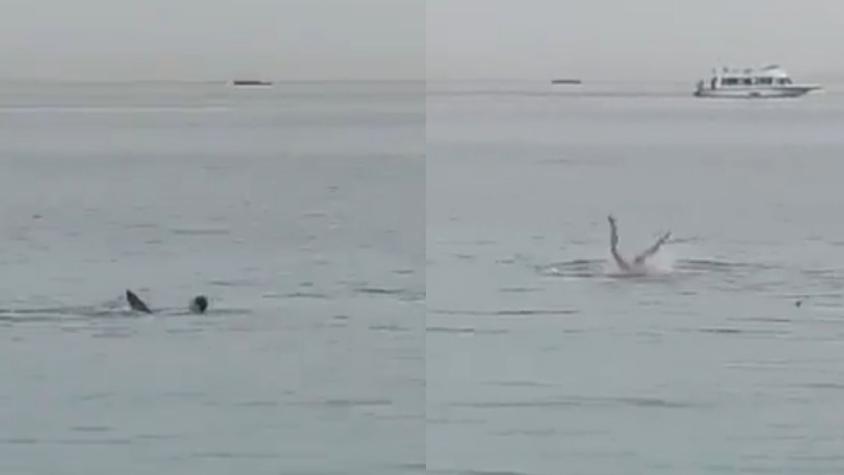 Fuertes imágenes: Turista ruso es asesinado por un tiburón frente a bañistas en Egipto