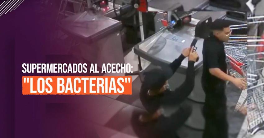 Reportajes T13: "Los bacterias": Más de 30 asaltos a supermercados
