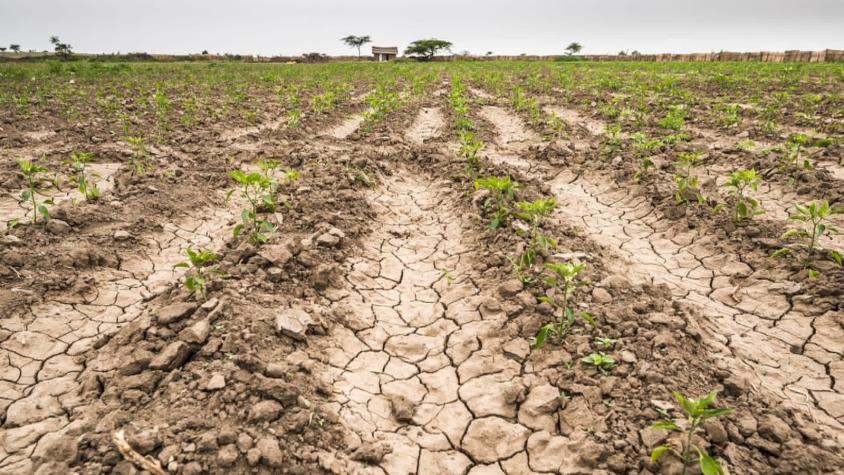 Agenda Sustentable: La lucha contra la desertificación y la sequía
