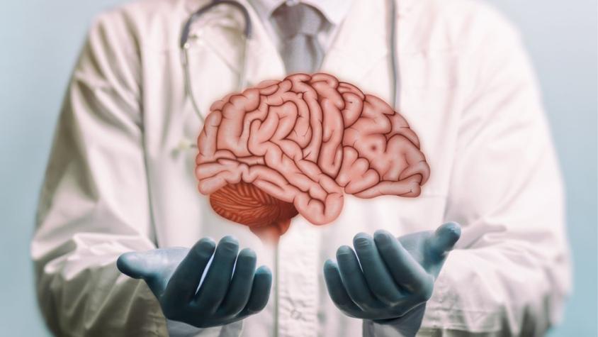 Por qué no se puede trasplantar el cerebro (y cuáles han sido los experimentos para hacerlo)