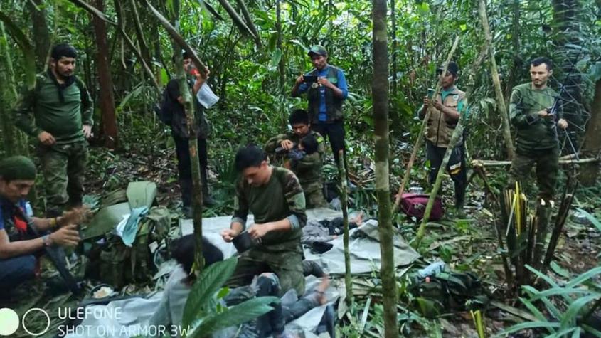 “La selva no era la amenaza, la selva los salvó”: ¿Cómo pudieron sobrevivir los 4 niños que pasaron 40 días en la Amazonía colombiana?