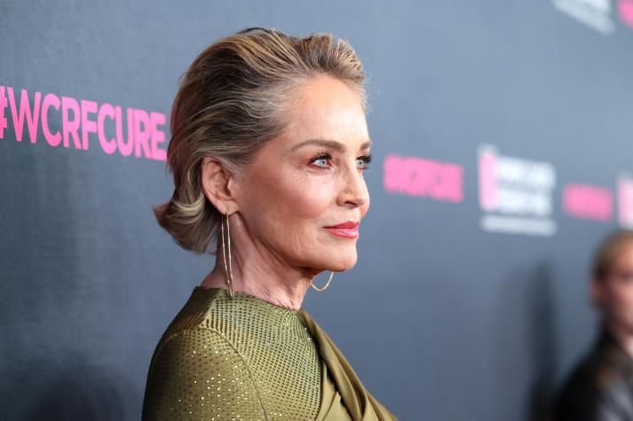 Sharon Stone afirma que fue olvidada por Hollywood tras sufrir derrame cerebral: "No he tenido trabajo"
