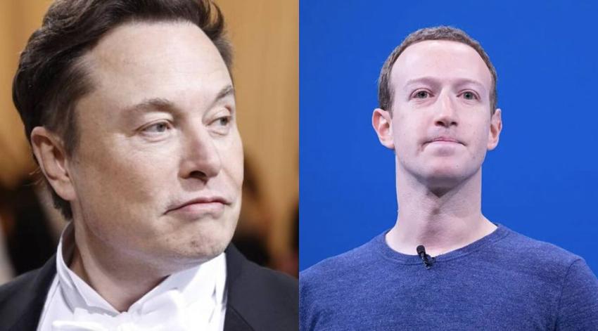 Próxima pelea del año: Elon Musk y Mark Zuckerberg se podrían enfrentar a golpes