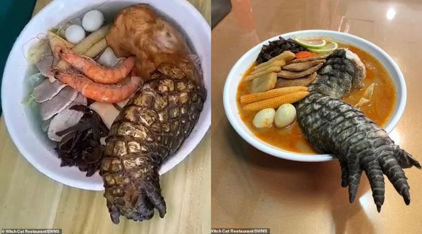¿Lo probarías? Restaurante en Taiwán tiene en su menú un raro ramen de cocodrilo