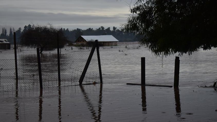 Por desborde de río Itata: Senapred ordena evacuar sectores de la Región de Ñuble