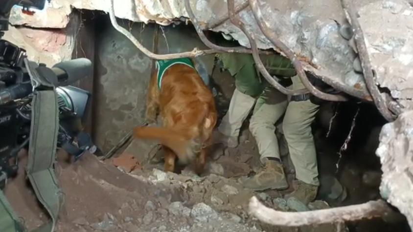 Hallan bóveda bajo ruinas de mausoleo narco de Lo Espejo: perros antidrogas se encuentran en el lugar