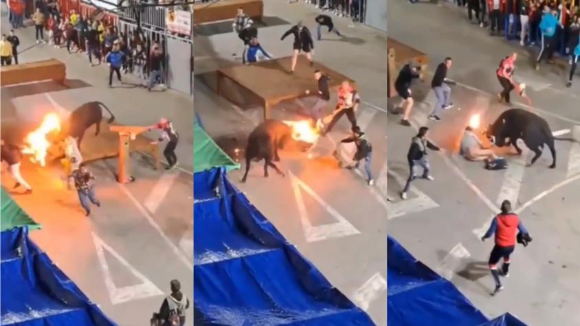 Video capta momento exacto cuando un toro embiste a un hombre que prendió fuego en sus cuernos
