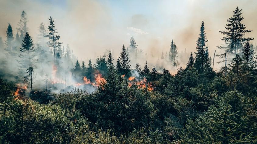 Tercer bombero muere en incendios forestales en Canadá