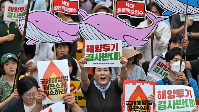Diputados surcoreanos en huelga de hambre: Jefe del Organismo de Energía Atómica visita Seúl, en medio de protestas por vertidos de agua tratada de Fukushima