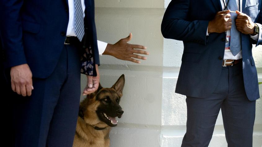 Un perro de Joe Biden es acusado de morder al personal de la Casa Blanca