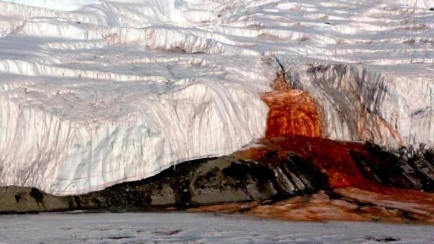 Científicos al fin descubren el fenómeno tras las "Cataratas de Sangre" de la Antártida