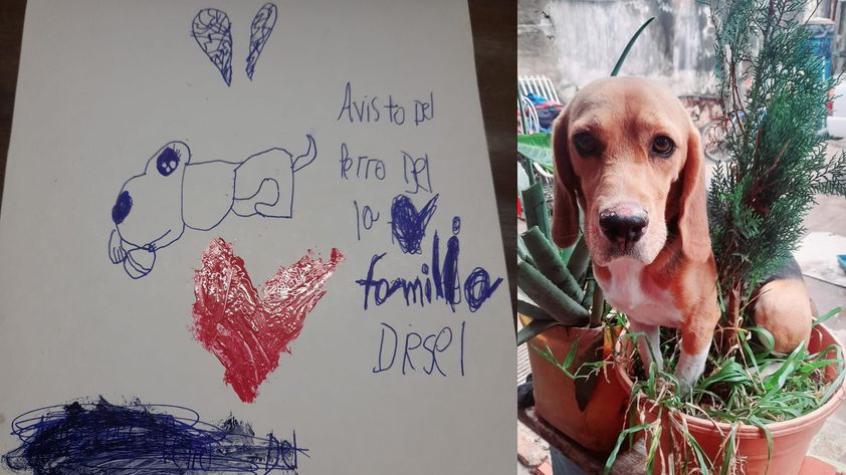 Niño de 9 años dibuja a su perrita perdida y lo reparte para poder encontrarla: madre realiza desesperado llamado