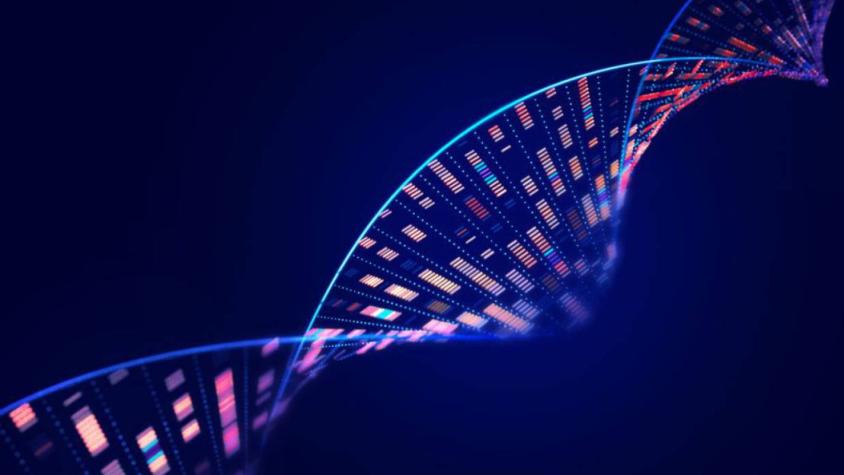 Ya está disponible en Chile: Test de ADN puede determinar tus orígenes Ya está disponible en Chile: Test de ADN puede determinar tus orígenes