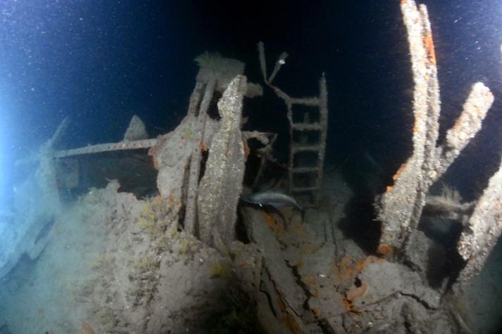 Increíble hallazgo: Buzos encuentran por casualidad restos de un buque de la Segunda Guerra Mundial