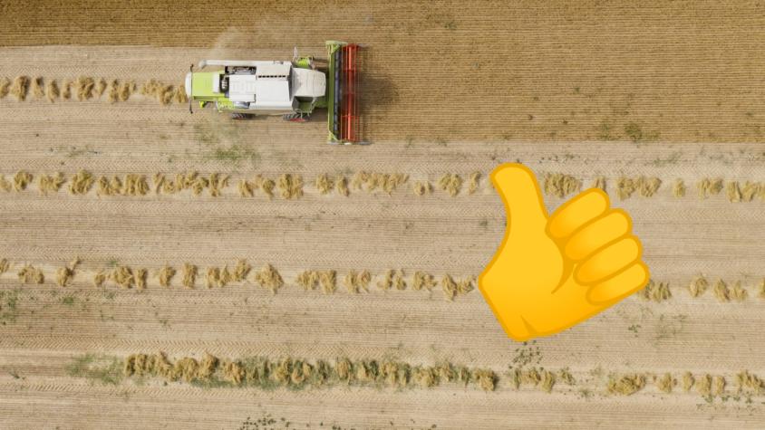 Todo por responder con un emoji: Tribunal determina que agricultor firmó contrato y deberá pagar millonaria multa