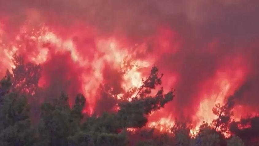 Incendios se expanden por el Mediterráneo: Arde el sur de Europa y el norte de África