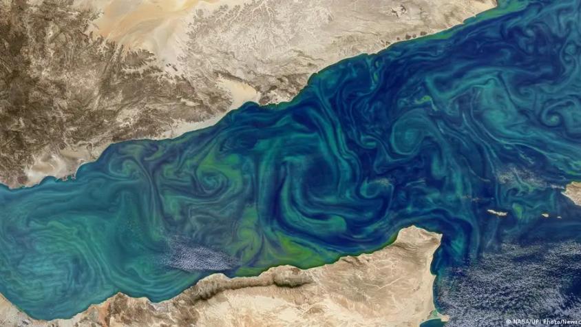 Más de la mitad del océano ha cambiado de color