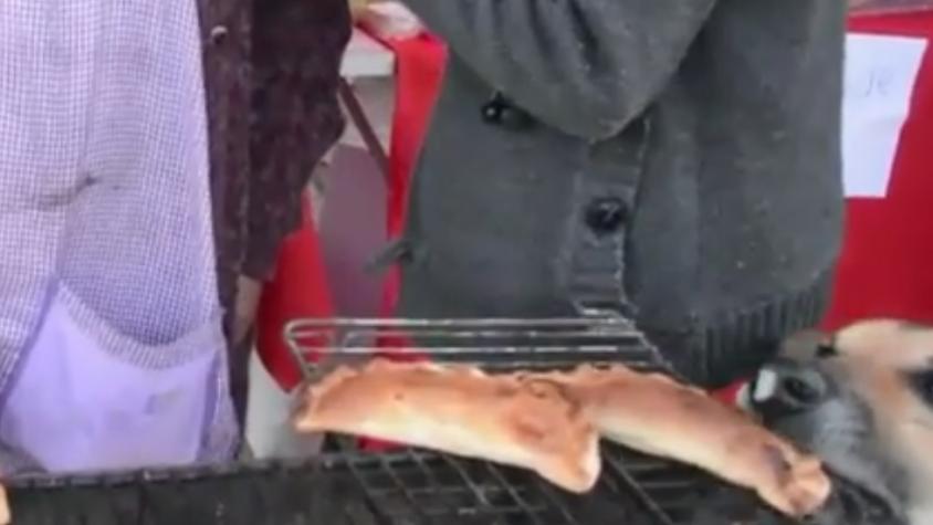 Muere "Orejón", el perro roba empanadas de Andacollo que se hizo viral en redes sociales
