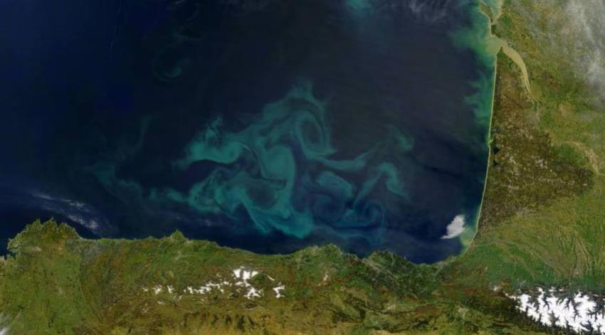 El color del océano está cambiando: ¿A qué se debe este fenómeno?