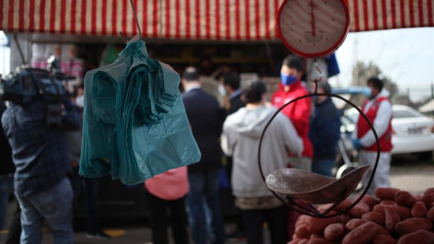 [VIDEO] Experto analiza los avances de la ley Chao Bolsas