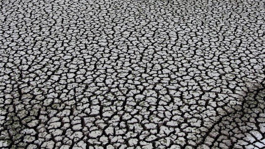 [VIDEO] Agenda Sustentable: Niños enfrentando el cambio climático