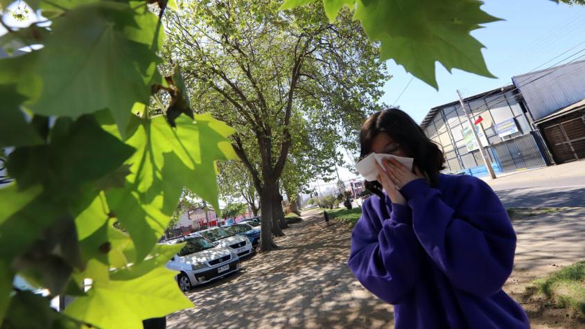 Alergias se adelantan y se proyecta aumento en septiembre por aumento de temperaturas