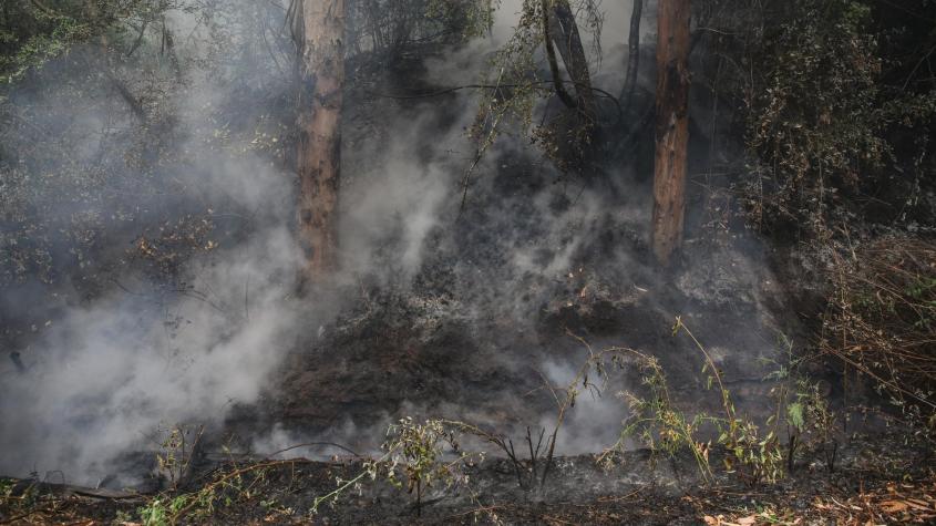 Declaran alerta roja para la comuna de Monte Patria por incendio forestal