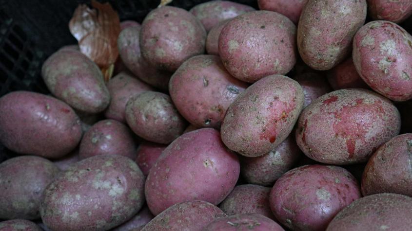 Agricultura anuncia que por alzas de precio de verduras pedirá a la FNE abrir investigación por sospecha de colusión