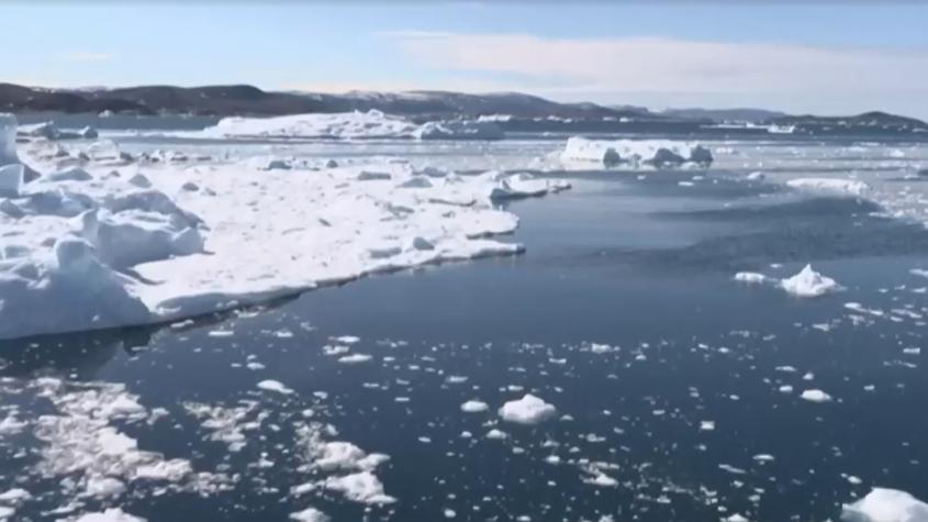 La amenaza del cambio climático: Antártida perdió masa de hielo del tamaño de Argentina