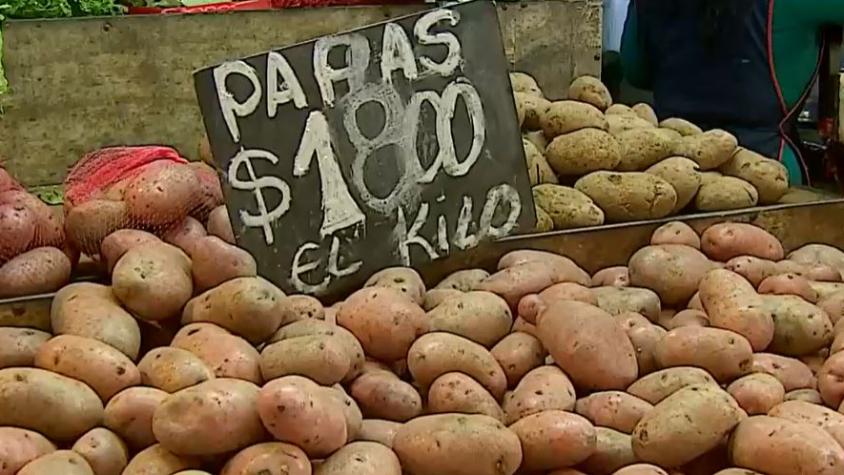 Crece polémica por alto precio de papas: Explican razones del aumento