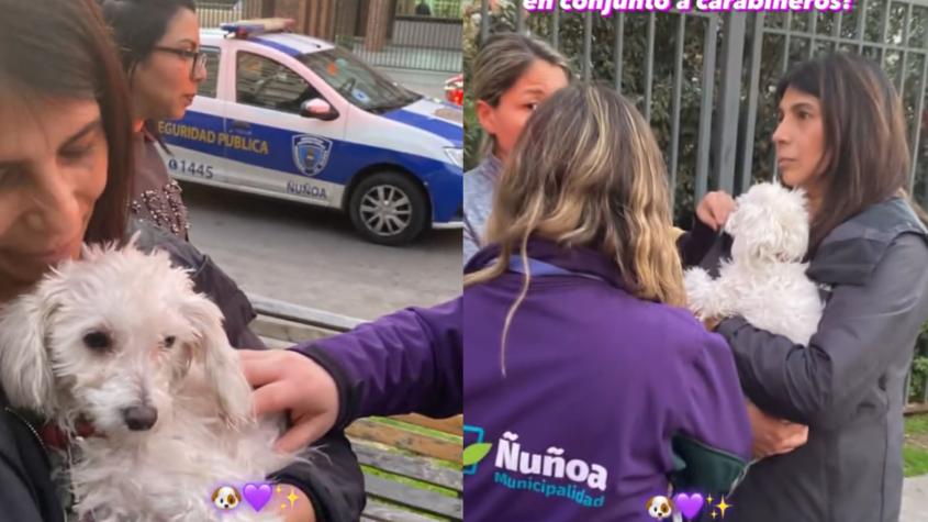 Hombre es detenido en Ñuñoa por golpear a su perro: Agresión fue grabada por vecinos