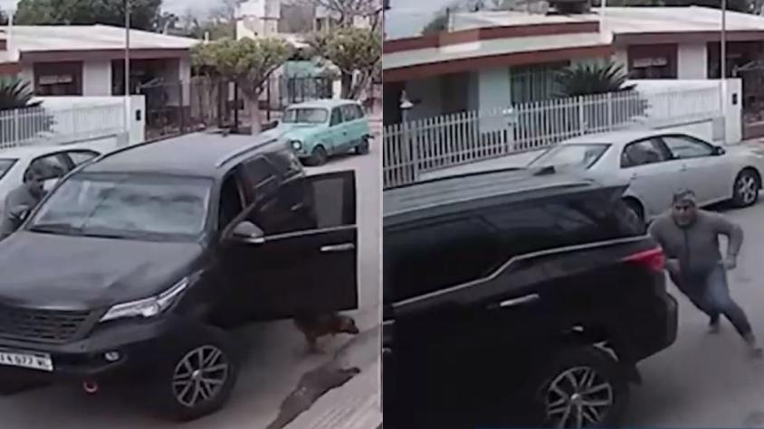 “No hay forma de explicarle esto al seguro”: Perro pisa acelerador del auto de su dueño y choca con la casa del vecino