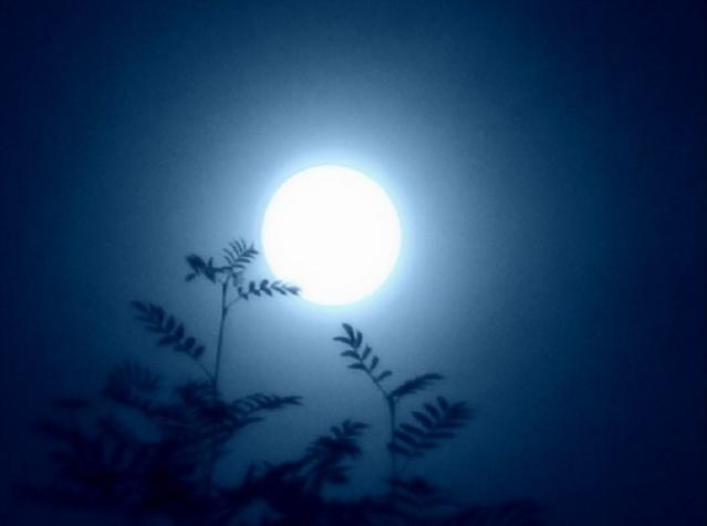 Luna azul: Conoce porqué se llama así y cuándo se verá en Chile