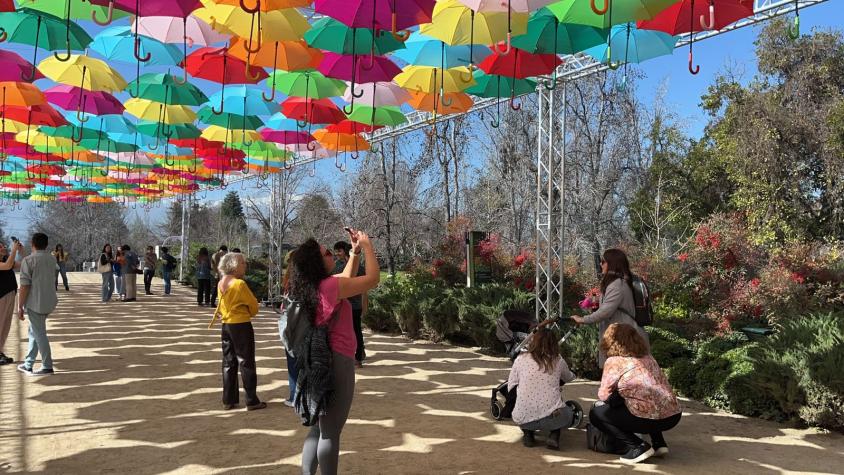 "Umbrella Sky Project": Parque del Recuerdo trae un cielo de paraguas