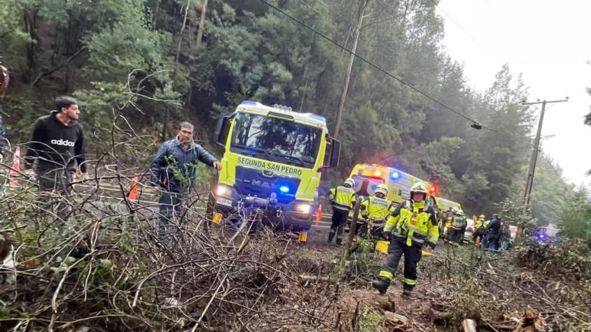 Una persona muere tras desbarrancamiento de camioneta en la Ruta de la Madera, en San Pedro de la Paz