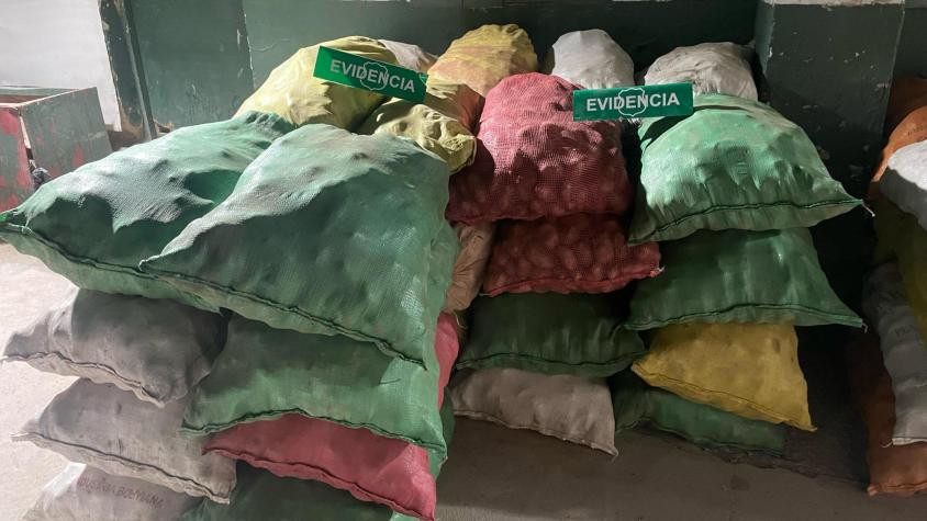 Decomisan siete toneladas de papas que ingresaban de forma clandestina por el norte del país