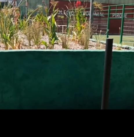 [VIDEO] La historia del colegio de Pirque que promueve el cuidado del planeta