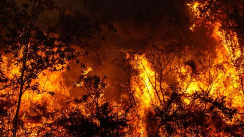 Bolivia registra incendios forestales en cuatro de nueve regiones del país