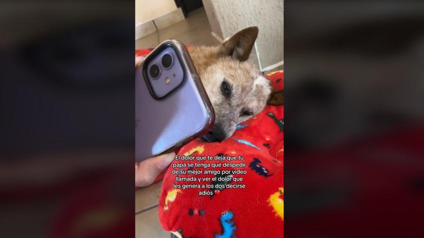 Hombre se vuelve viral tras despedirse de su perrito por videollamada: Animal falleció lejos de él