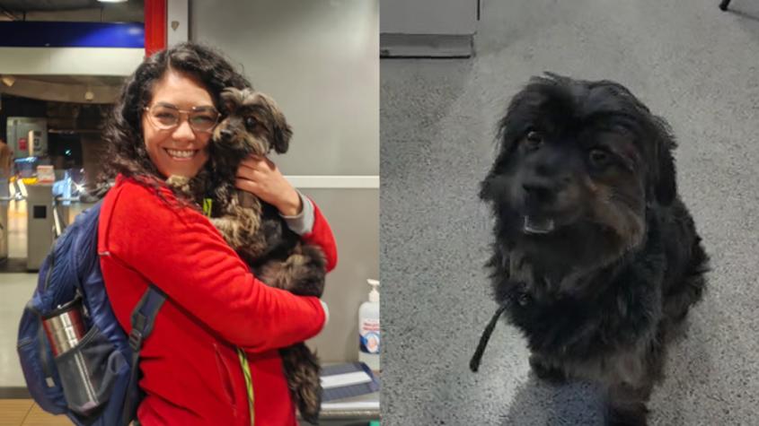 Conductora de Metro adoptó a perrito que fue abandonado en estación