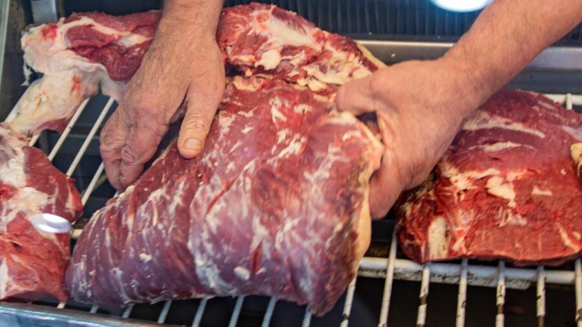 Fiscalizaciones por Fiestas Patrias: Seremi de Salud RM ha decomisado más de una tonelada de carne