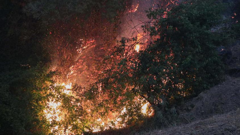 Imputan a dos empresas eléctricas por inicio de incendios en Santa Juana y Nacimiento
