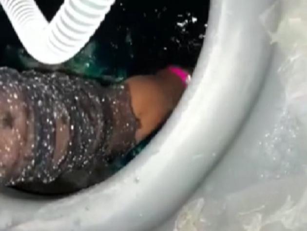Repugnante accidente: Tiktoker muestra cómo rescató su celular luego de que cayera en baño químico