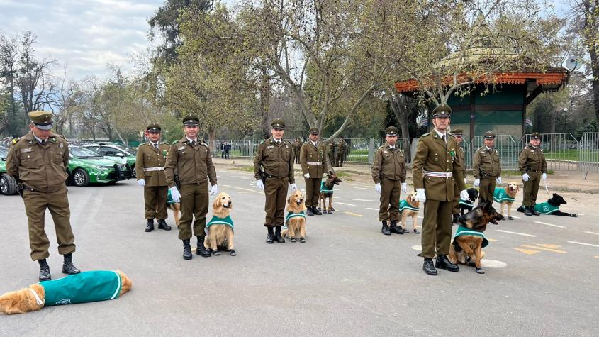 Despedidos con honores: Estos son los perritos policiales que jubilaron en la Parada Militar 2023