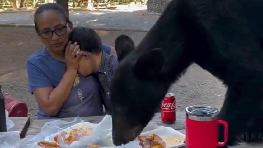 Momentos de terror: Oso interrumpió picnic familiar y reacción de la madre para calmar a su hijo sorprendió a todos