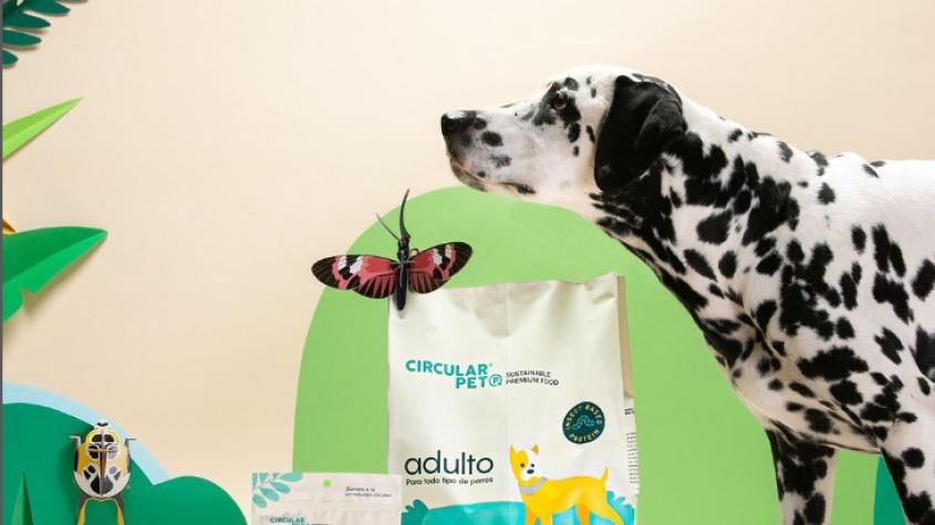 Circular Pet: Alimento premium y sustentable para perros en base a insectos 