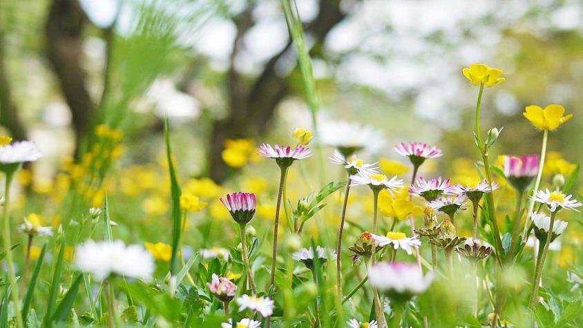#EmprendedoresWorkCafé: Temporada de primavera para emprendedores 