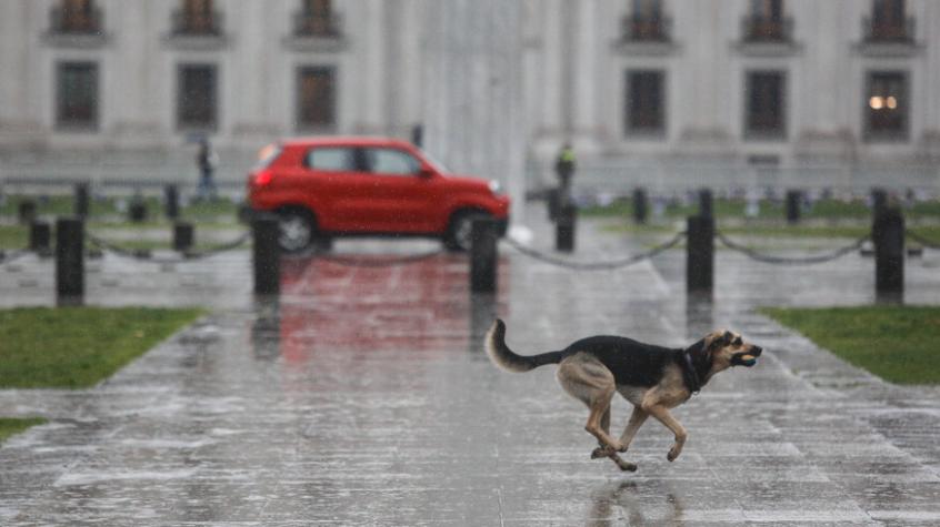 De la tarde más calurosa de la primavera a la lluvia: ¿Cuándo podría precipitar en la zona central?