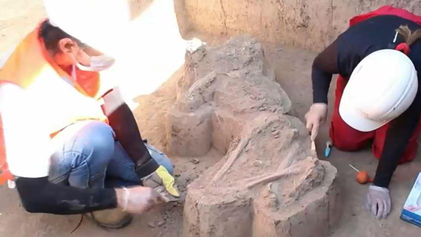 Encuentran restos de hasta 11 mil años en obras de la Línea 7 del Metro