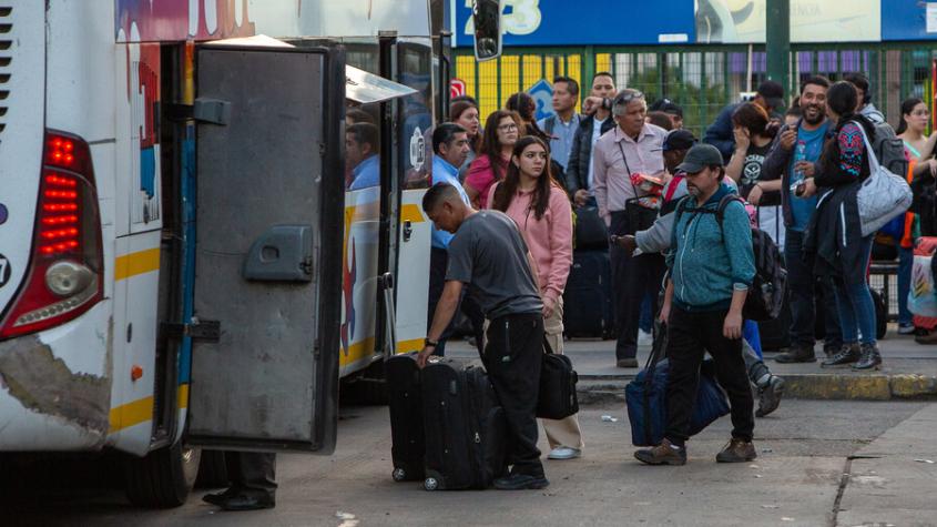 Pasajes desde menos de "luca": ¿Cuál es la nueva línea de buses que llega a Chile y qué rutas ofrecerá?